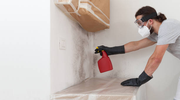 Professional Black Mold Remediation technician working in Riva, MD